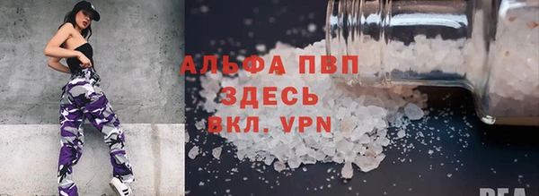 хмурый Дмитров