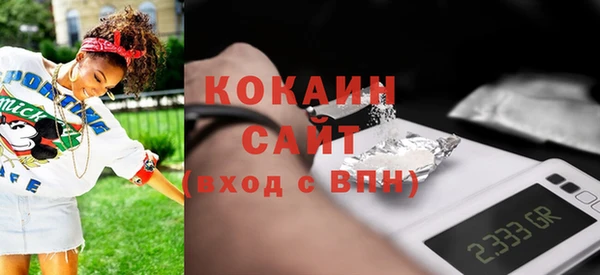 хмурый Дмитров