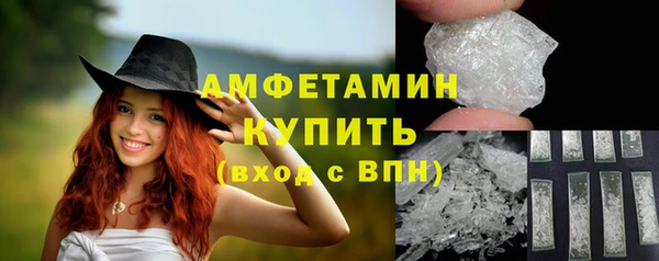 хмурый Дмитров