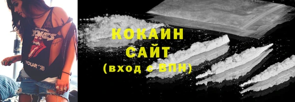 хмурый Дмитров