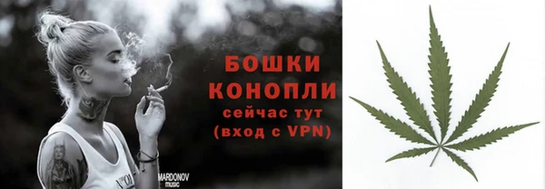 хмурый Дмитров