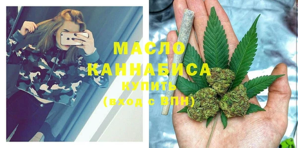 хмурый Дмитров