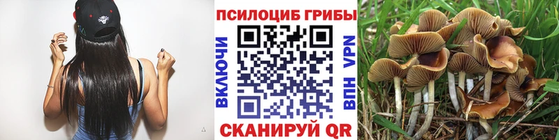 Галлюциногенные грибы мухоморы  Купить где  Кондрово 